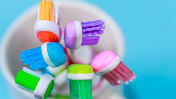 colorful toothbrushes in a mug