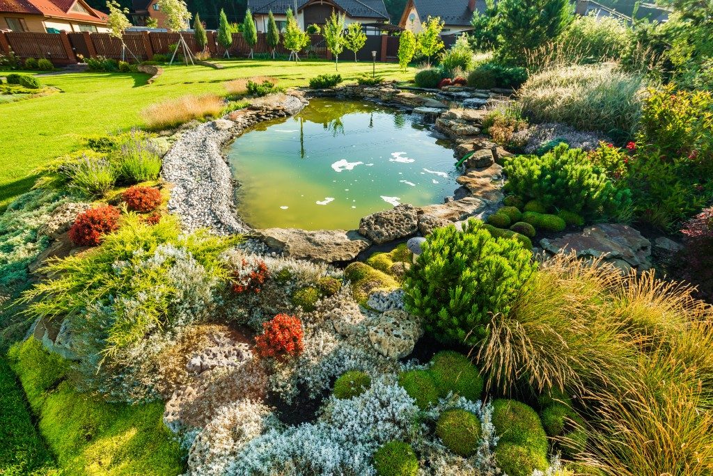 Backyard landscape