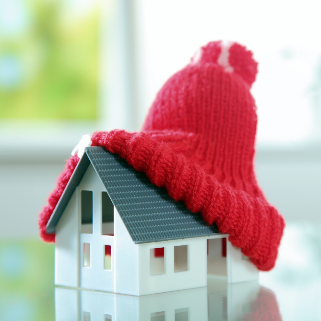 a miniature house with a snow hat