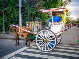 Horse-drawn vehicle in Manila