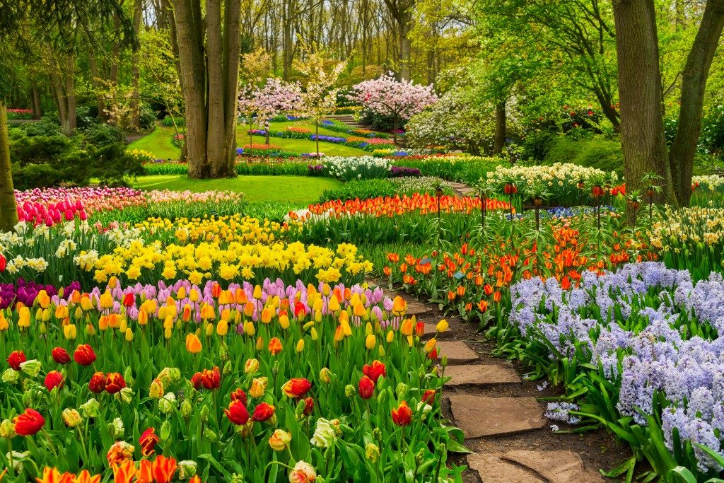 Spring Wedding Garden