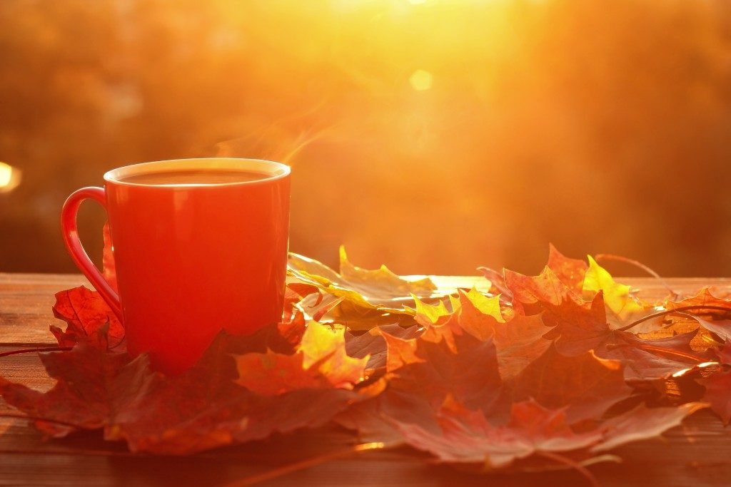 mug and autumn