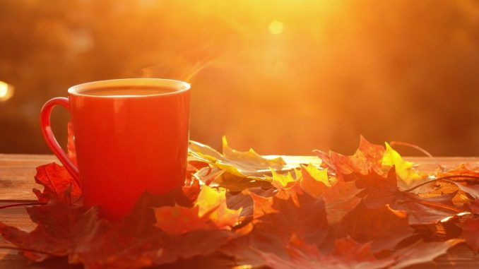 mug and autumn