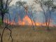 bushfire in Australian outback Nitmiluk National Park, Northern Territroy, Australia