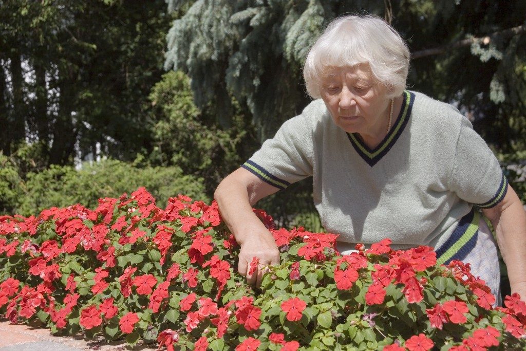 Old lady in the garden