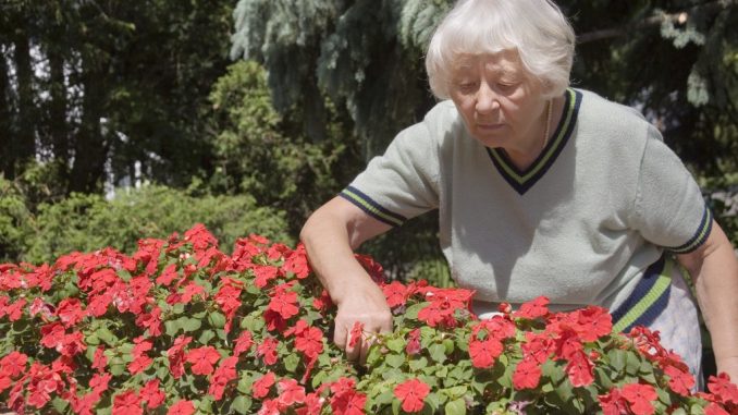 Old lady in the garden