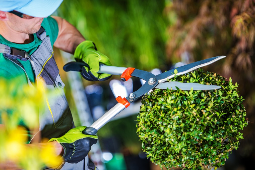 Garden trimming