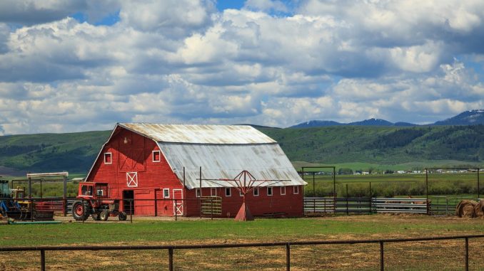 Red barn in farm