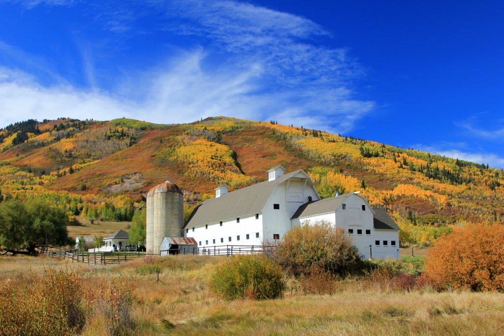 White barn in farm