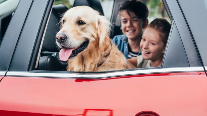 kids inside a car