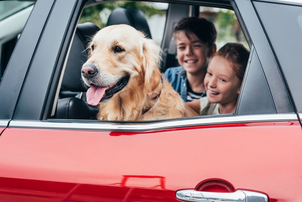 kids inside a car