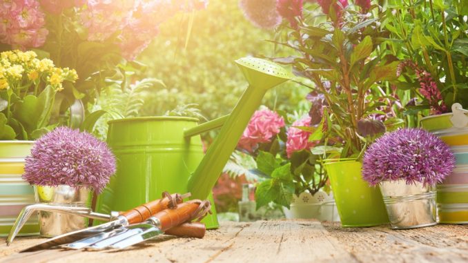 gardening tools